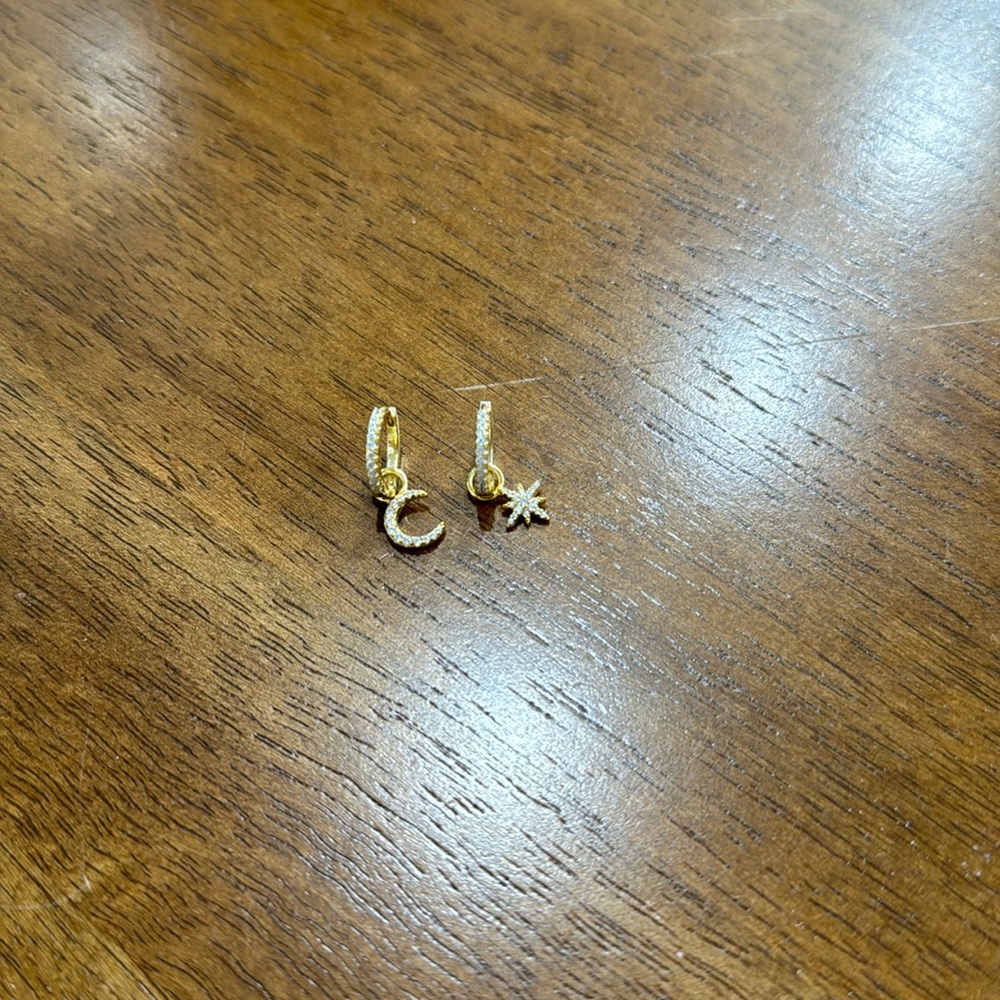 Crescent Moon and Star Hoop Earrings